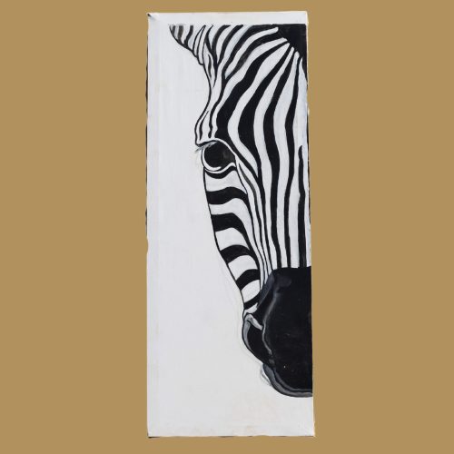 the zebra made of white and black colour